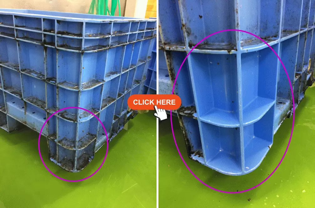 BIONAC ビフォーアフター 1